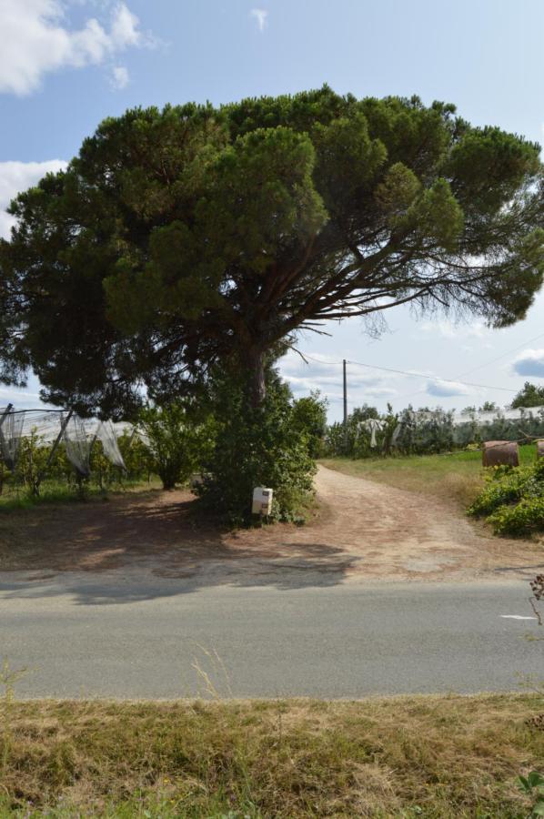 Gite Rural De Caractere Guerin Bagian luar foto